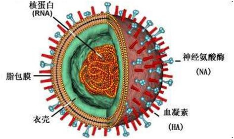 伟德体育官网
