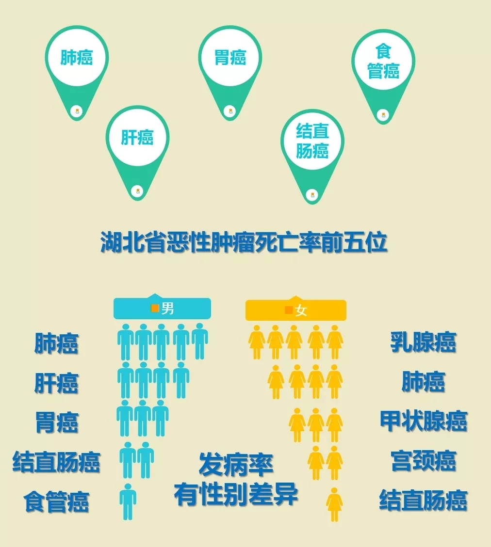 伟德体育官网
