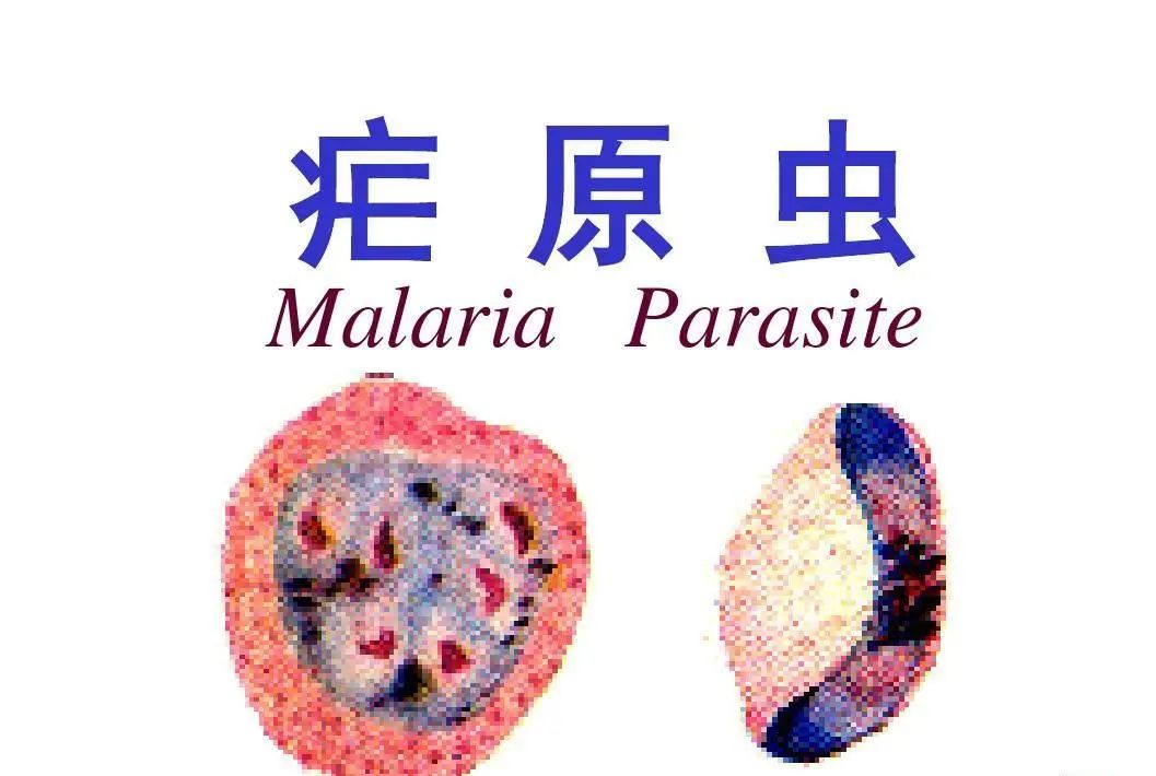 伟德体育官网