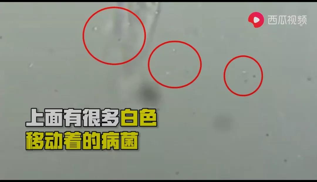 伟德体育官网