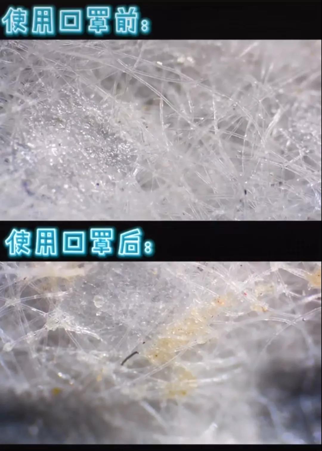 伟德体育官网