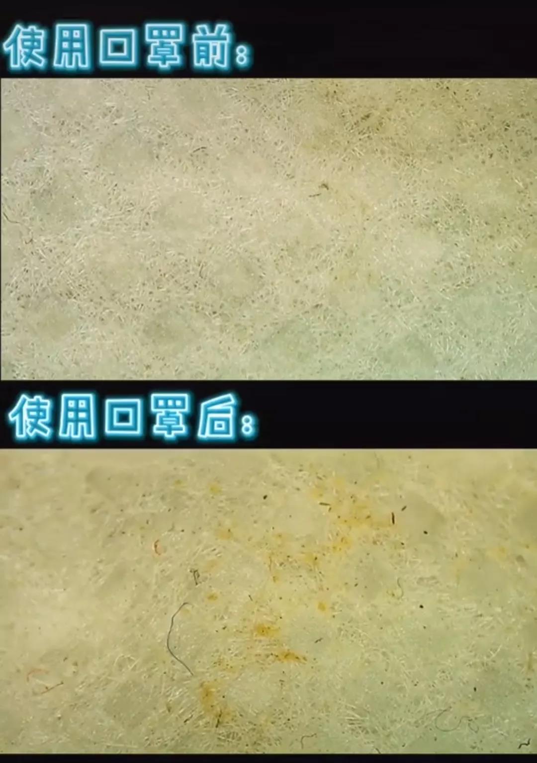伟德体育官网