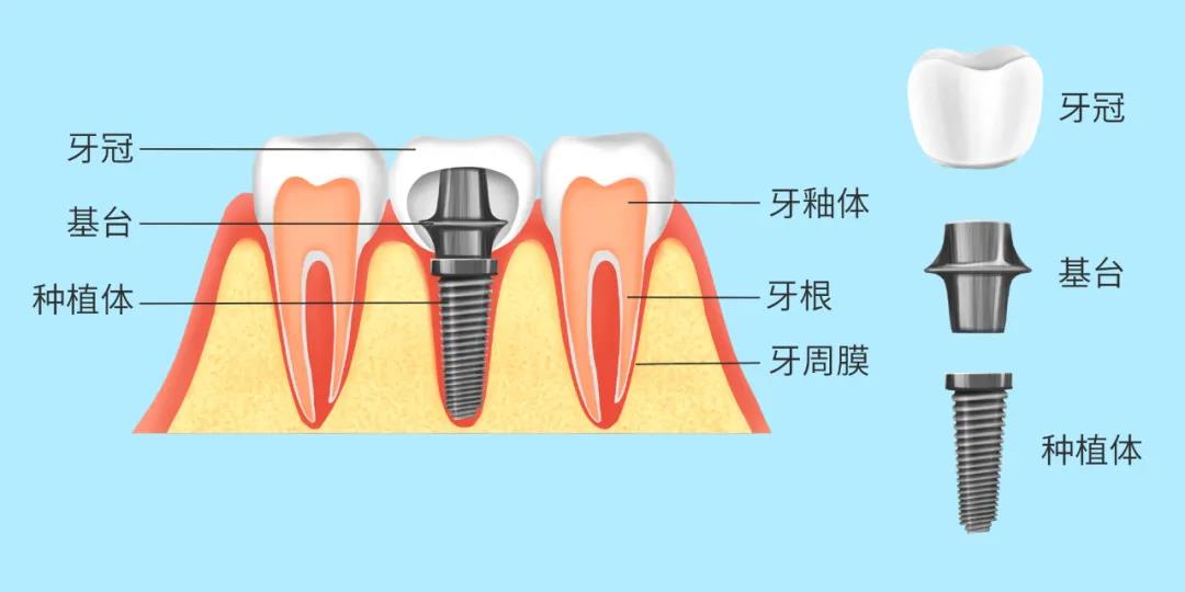 伟德体育官网