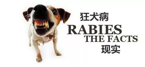 伟德体育官网